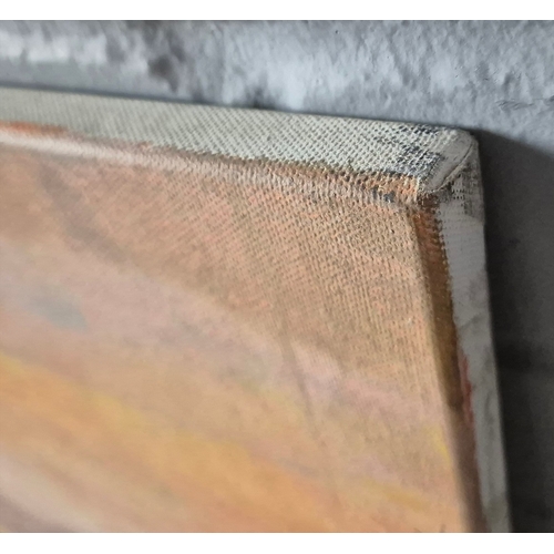 45 - JEAN CLAUDE PICARD ( BORN 1940). VUE D'UN VILLAGE EN DIRECTION DU MONT SAINTE-VICTOIRE. Oil on Canva... 