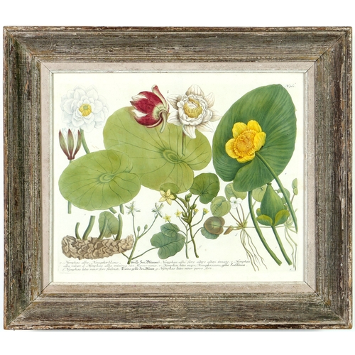 Lot 149       