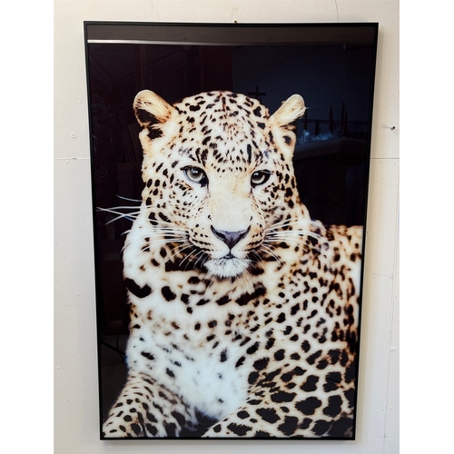 24 - PHOTOGRAPHIC PRINT ON GLASS OF A LEOPARD. 120cm H x 82cm W.