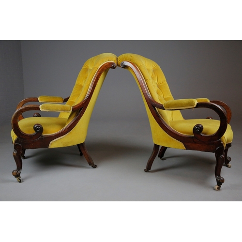 45 - PAIR OF VICTORIAN MAHOGANY ARMCHAIRS (2). gold velvet 98cm H x 66cm W x 87cm D.
