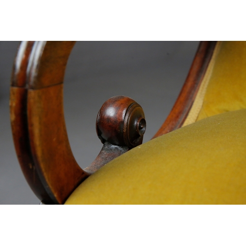 45 - PAIR OF VICTORIAN MAHOGANY ARMCHAIRS (2). gold velvet 98cm H x 66cm W x 87cm D.