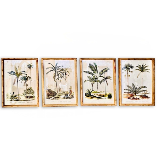59 - SET OF FOUR BOTANICAL PALM TREE PRINTS. 50cm H x 35cm W.