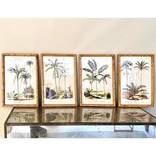 59 - SET OF FOUR BOTANICAL PALM TREE PRINTS. 50cm H x 35cm W.