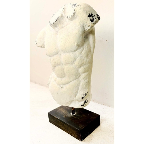 86 - TORSO SCULPTURE ON STAND. 60cm H x 45cm x 20cm D.