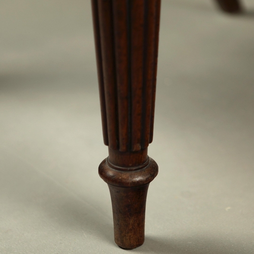 860 - SET OF EIGHT WILLIAM IV MAHOGANY DINING CHAIRS. On reeded front supports
To include two carvers
86cm... 