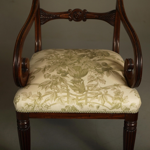 860 - SET OF EIGHT WILLIAM IV MAHOGANY DINING CHAIRS. On reeded front supports
To include two carvers
86cm... 