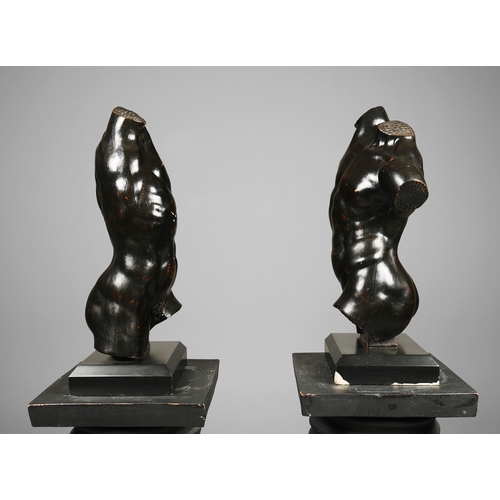 19 - A PAIR OF WOODEN MALE TORSO FIGURES. ebonised, measuring 70cm high, complete with black painted terr... 