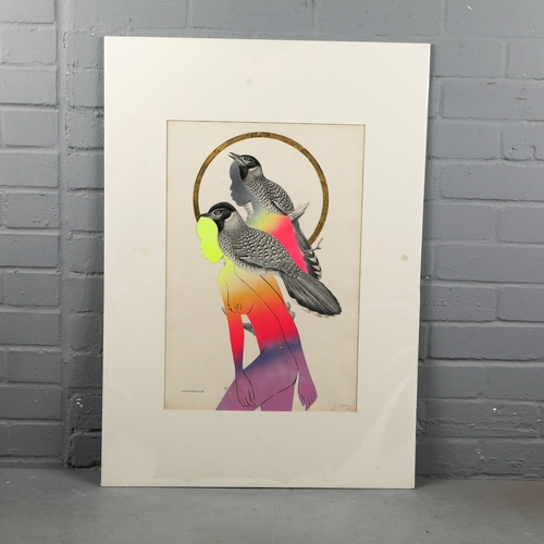 111 - RUGMAN. JOHN GOULD ANTIQUARIAN PRINTS (14). Original lithographs by Gould with enamel, spray paint &... 