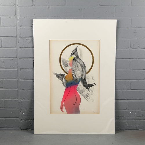 111 - RUGMAN. JOHN GOULD ANTIQUARIAN PRINTS (14). Original lithographs by Gould with enamel, spray paint &... 