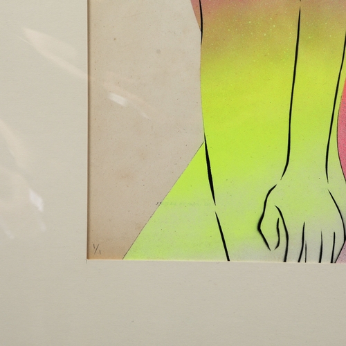 111 - RUGMAN. JOHN GOULD ANTIQUARIAN PRINTS (14). Original lithographs by Gould with enamel, spray paint &... 