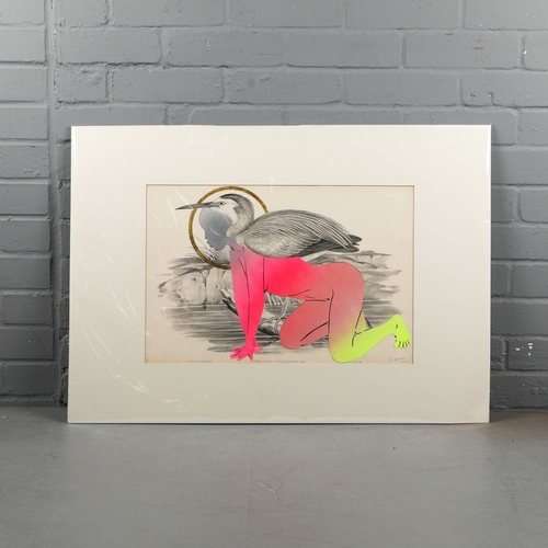 111 - RUGMAN. JOHN GOULD ANTIQUARIAN PRINTS (14). Original lithographs by Gould with enamel, spray paint &... 