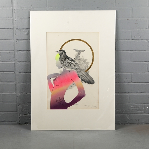 111 - RUGMAN. JOHN GOULD ANTIQUARIAN PRINTS (14). Original lithographs by Gould with enamel, spray paint &... 