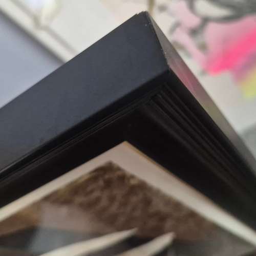 122 - GEORGE BRAQUE. L'OISEAUX ET SON NID. Lithograph, 37cms x 54cms, Lithograph, Published 1956 by Maeght... 