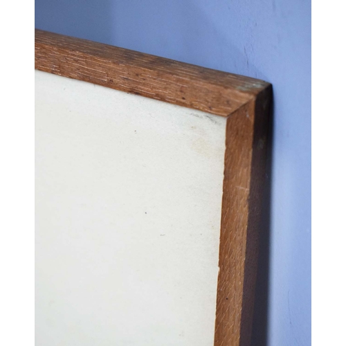 135 - PAUL GAUGUIN (FRENCH 1848-1903). NOA NOA, VOYAGE DE TAHITI. lithograph, 41cm x 52cm, framed.