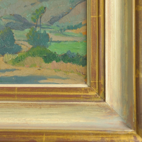 4 - HENRY LAMB (1883-1960). A VIEW IN KILLARNEY. oil on panel, bears a Michael Parkin Gallery label to v... 