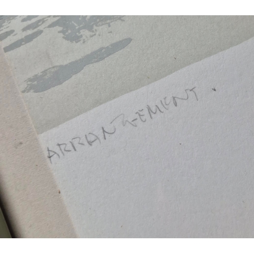 57 - JOHN CARL HEYWOOD (CANADIAN, 1941-2022). ARRANGEMENT. Screenprint, 56cms x 99cms, signed and titled,... 