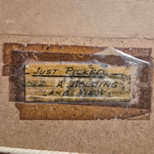 89 - A. L. HOLDING (1880-1940). STILL LIFE WITH PEACHES AND GRAPES. Watercolour, 15cms x 25cms, signed, f... 