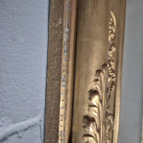 231 - 19th CENTURY GILTWOOD OVERMANTEL MIRROR. 79cm H x 114cm W.
