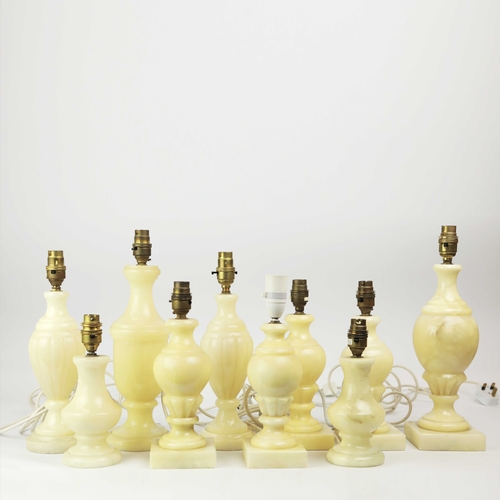 Lot 254       