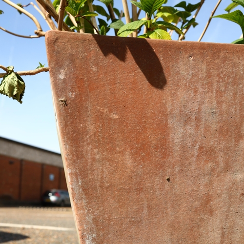 290 - HYDRANGEA PLANTS, A PAIR IN MATCHING TERRACOTTA PLANTERS. each measuring approximately 42cm high, 44... 