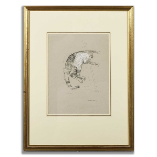 Lot 58        