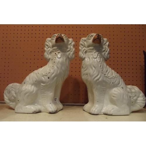57 - Pair of 19th Century Staffordshire spaniels, well-modelled, 12 in. high.
