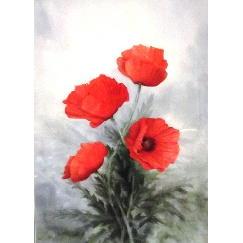 353 - Framed and glazed watercolour - poppies, indistinctly signed lower left, 19.5 in. x 14 in.