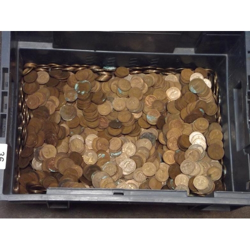 36 - Large collection of Half-Pennies.