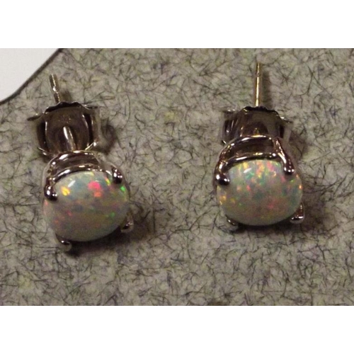 60 - Pair of 14 ct. white gold earrings set with opals.