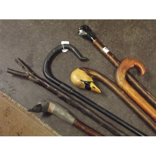 173 - Two walking sticks with painted duck's head handles, and four others.