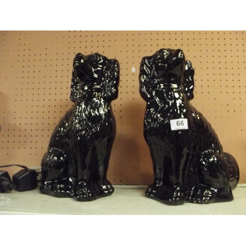 66 - Pair of Staffordshire black glazed seated spaniels.