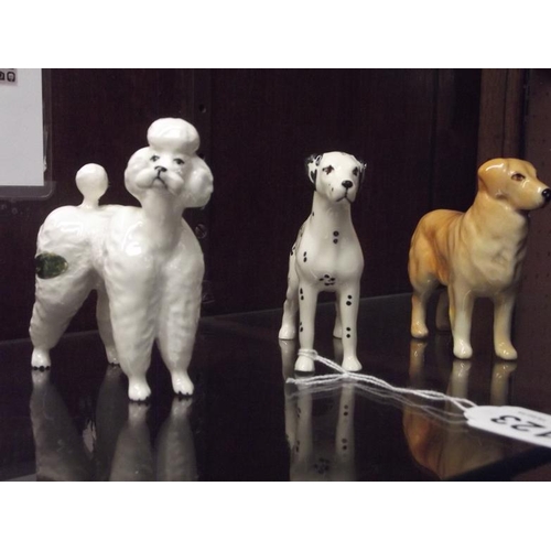 123 - Three Beswick dogs - Dalmatian small model 1763, Poodle model 1386, and Retriever model 1855.