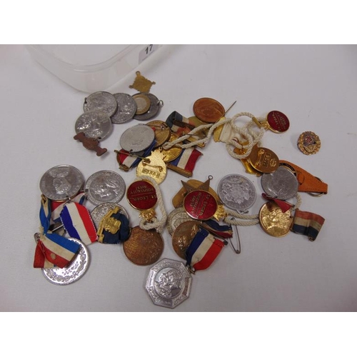 17 - Various badges and medallions.