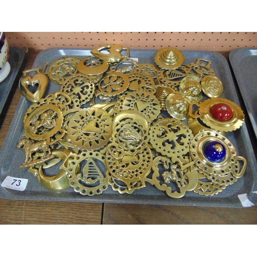 73 - Collection of horse brasses.