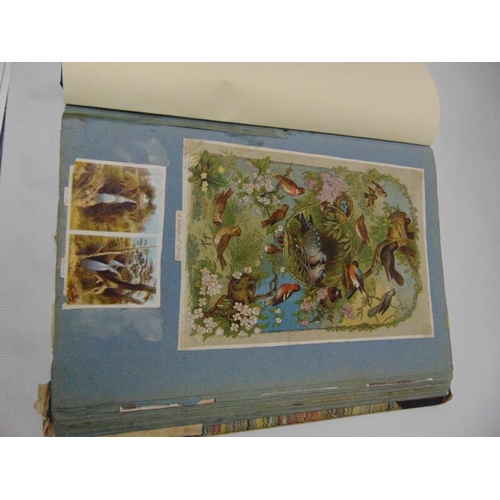 47 - Antique scrap book.