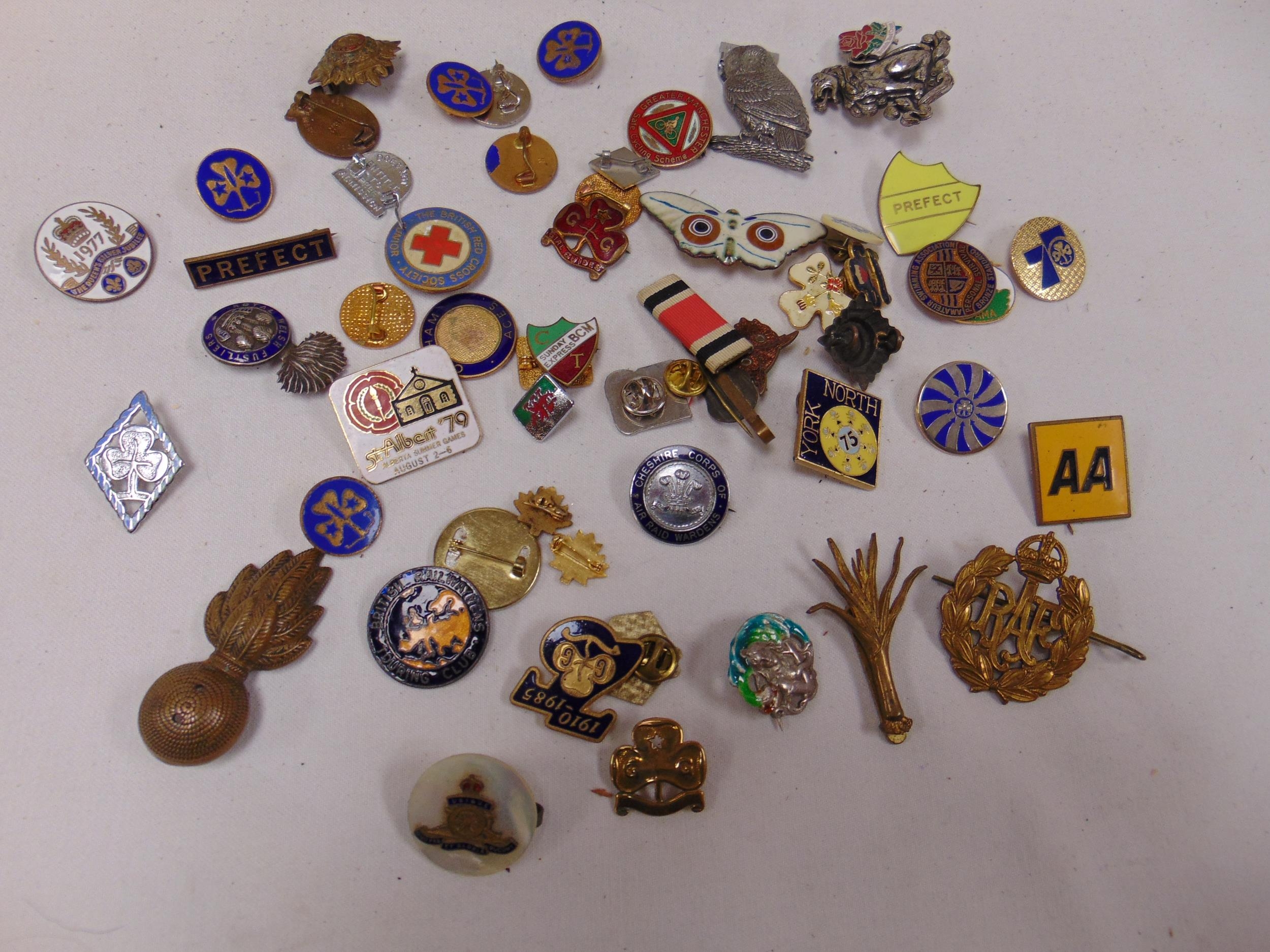 Collection of enamelled badges.