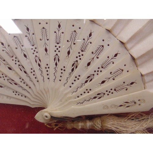 107 - Framed and glazed oriental fan.