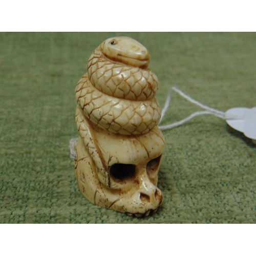 32 - 19th century ivory netsuke, coiled up snake atop a human skull, signed, 1.75