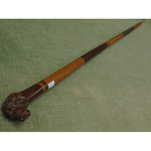 51 - Banded hardwood walking cane with carved lion's head top, 38