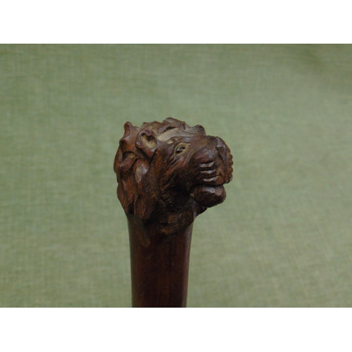 51 - Banded hardwood walking cane with carved lion's head top, 38