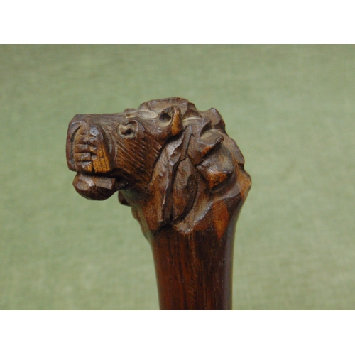 51 - Banded hardwood walking cane with carved lion's head top, 38