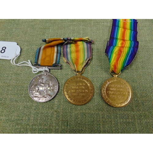 8 - Pair of 1st World War medals awarded to 8020 PTE. T W. Haynes R.W.FUS, and one other 1st World War m... 