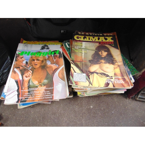 233 - Quantity of adult magazines.