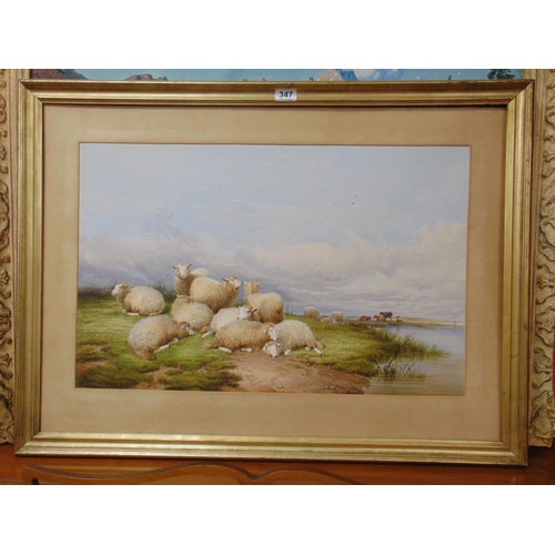 347 - Framed lithograph, sheep. 17.5 x 27.5