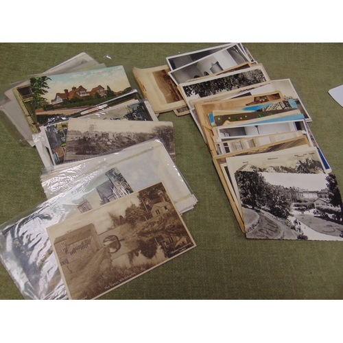 Lot 54        