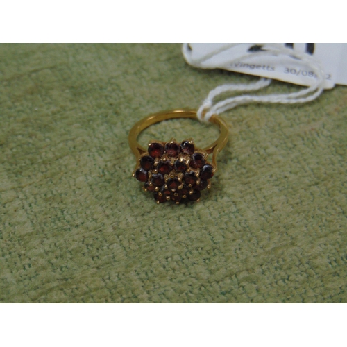 20 - Large 9ct yellow gold garnet cluster ring, size P, 3.7g.