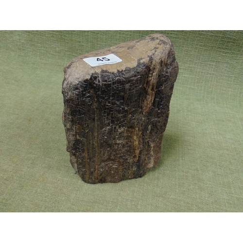 45 - Fossilised wooden jet, sourced from Whitby, Yorkshire. 7