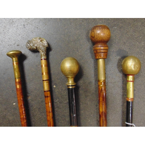 69 - Collection of 5 decorative walking sticks.