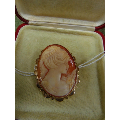 4 - 9ct gold framed oval cameo brooch.