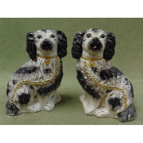 256 - Pair of 19th century Staffordshire spaniels, having gilt painted chains and collars.